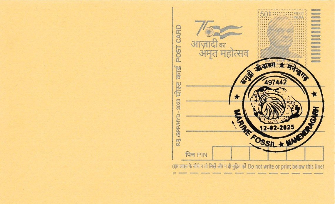 Marine Fossil Manendragarh