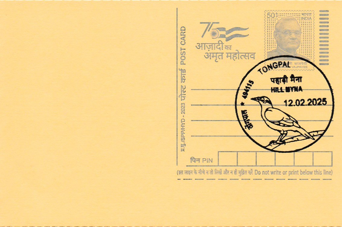 Pahadi Myna / Hill Myna